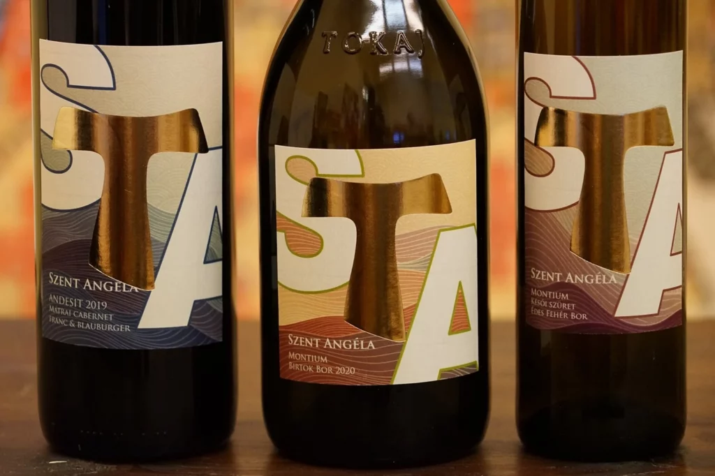 iskolai reprezentáció