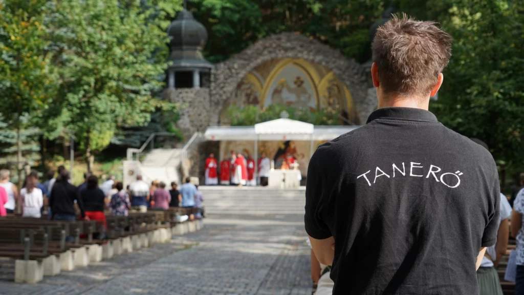 tanári képzések, mentorálás